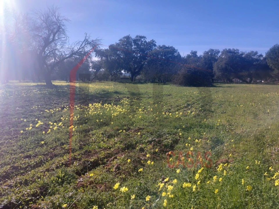 Terreno para Venda em Palmela Foto 11
