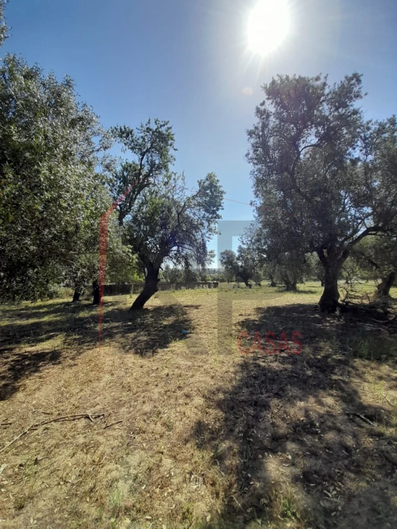 Terreno para Venda em Palmela Foto 20
