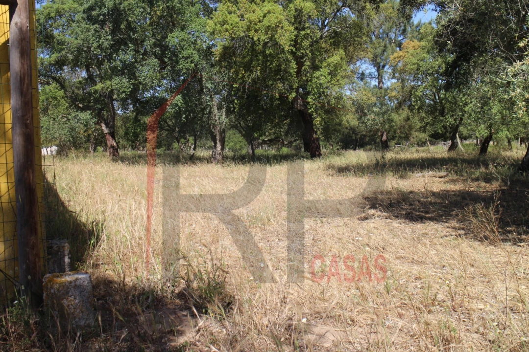 Terreno para Venda em Palmela Foto 14