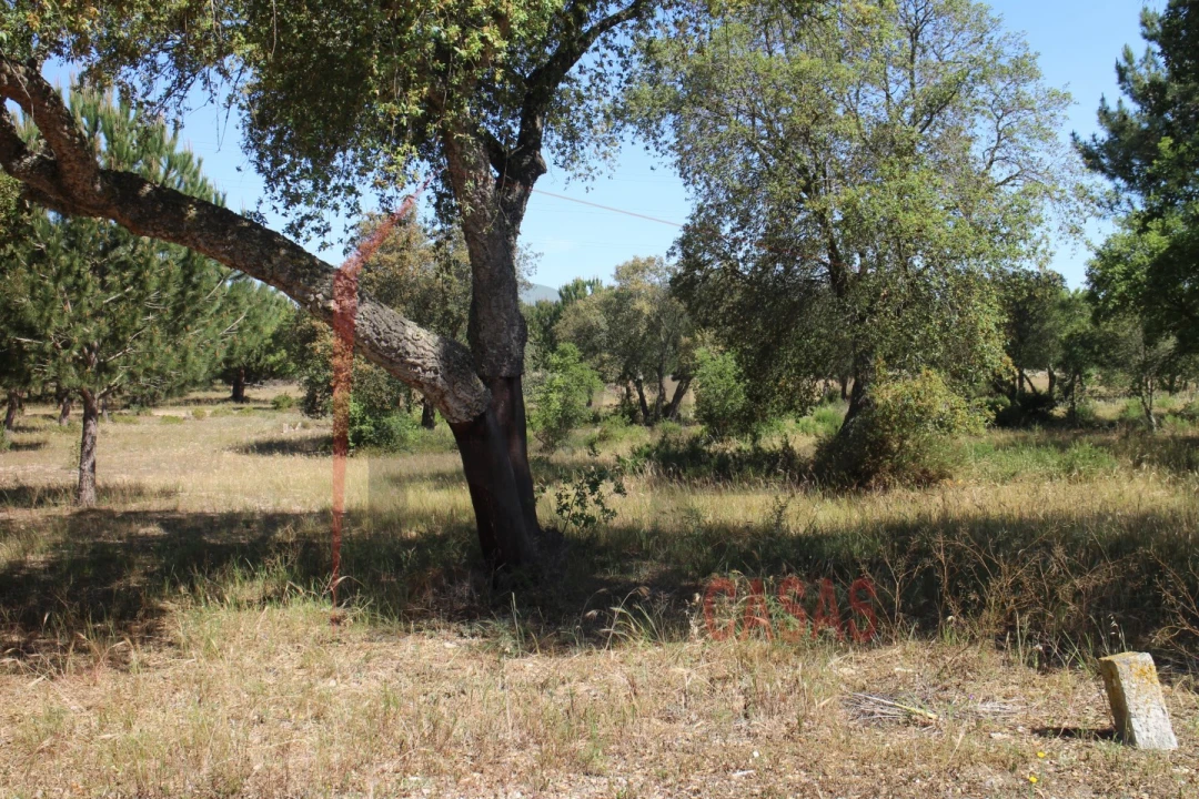 Terreno para Venda em Palmela Foto 17