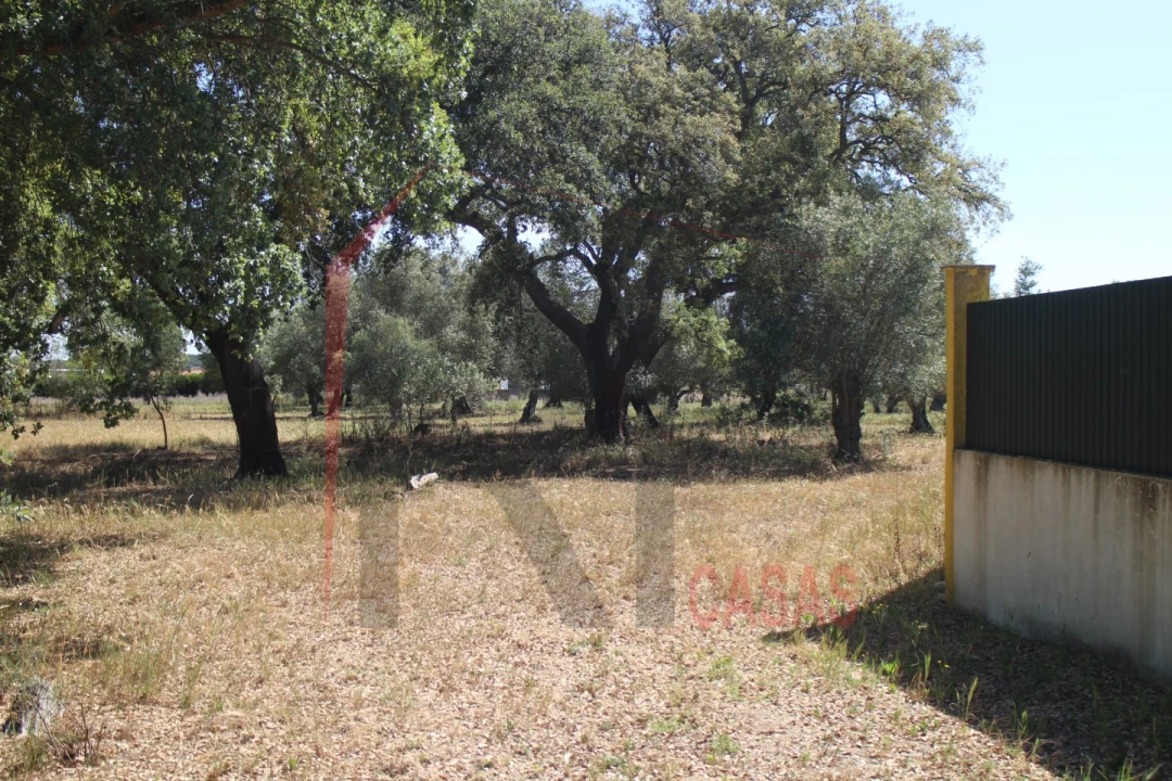 Terreno para Venda em Palmela Foto 18