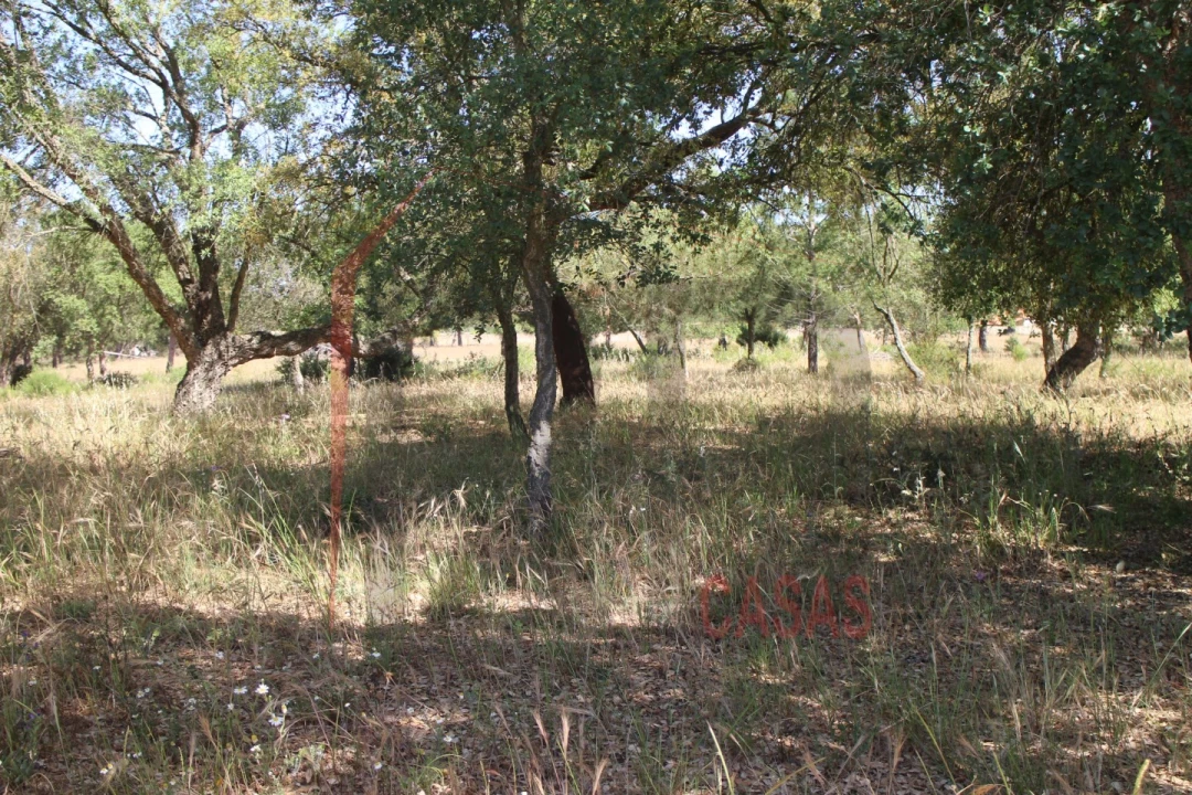 Terreno para Venda em Palmela Foto 19