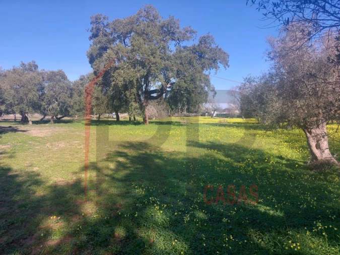 Terreno para Venda em Palmela Foto 2
