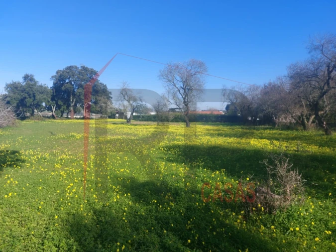 Terreno para Venda em Palmela Foto 4