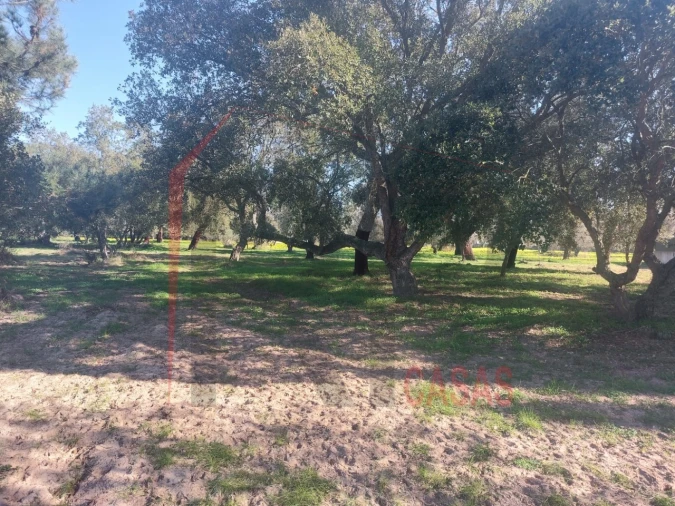 Terreno para Venda em Palmela Foto 7