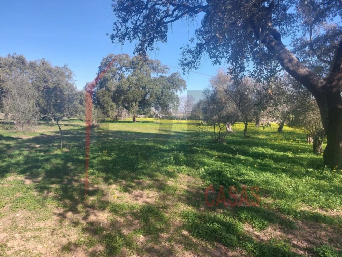 Terreno para Venda em Palmela Foto 8