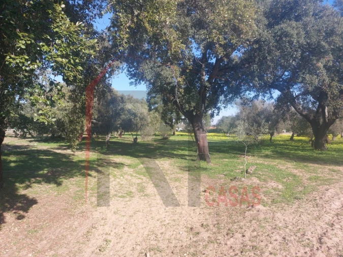 Terreno para Venda em Palmela Foto 9