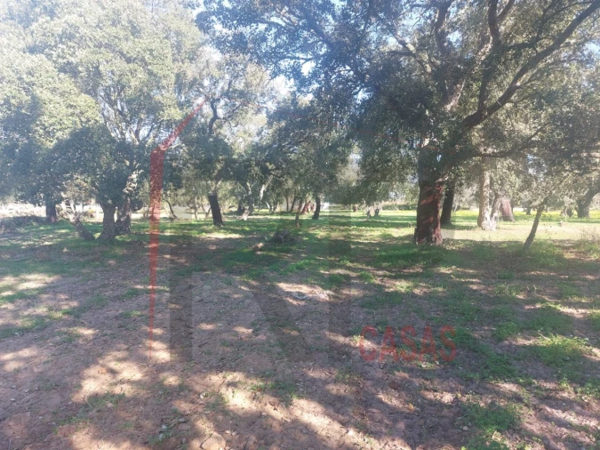 Terreno para Venda em Palmela Foto 10