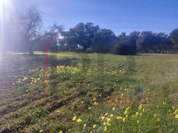 Terreno para Venda em Palmela Foto 11