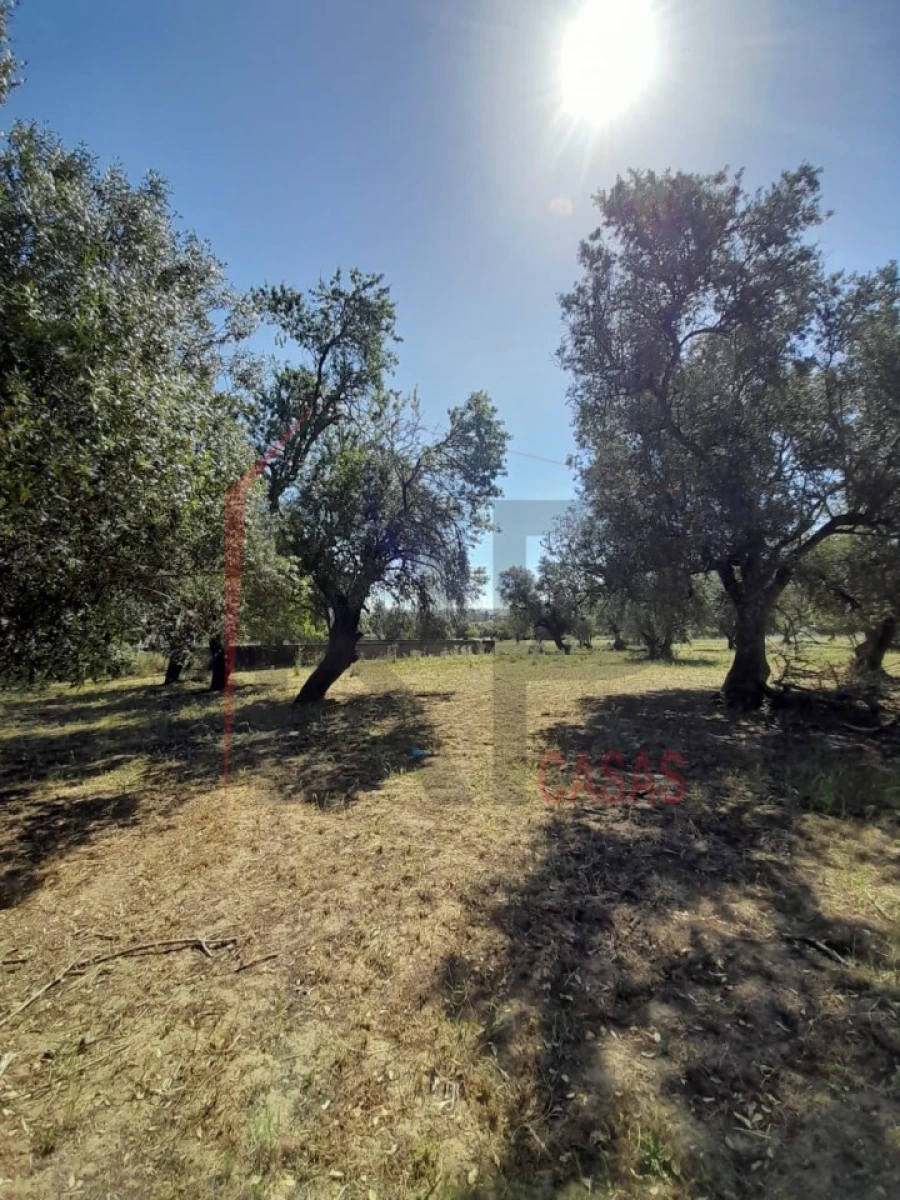 Terreno para Venda em Palmela Foto 20