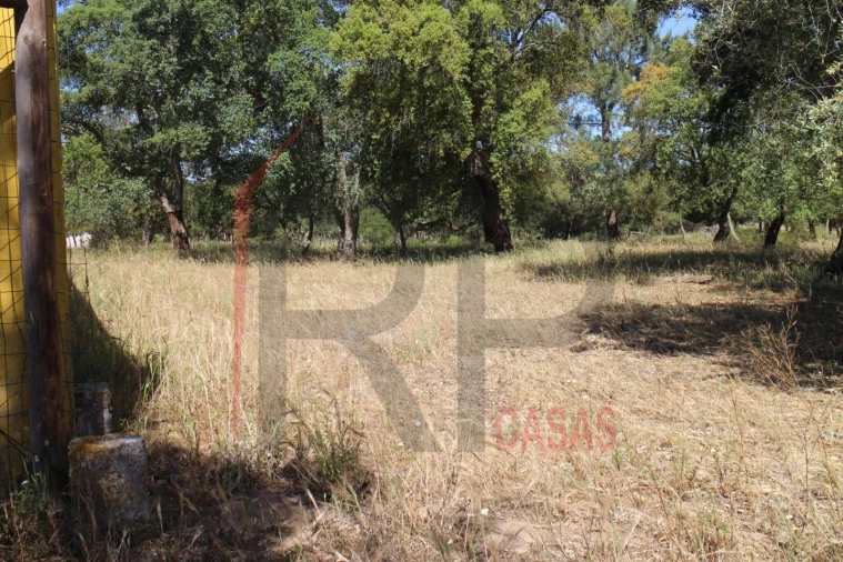 Terreno para Venda em Palmela Foto 14