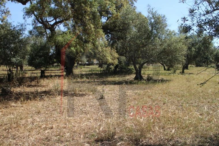 Terreno para Venda em Palmela Foto 15