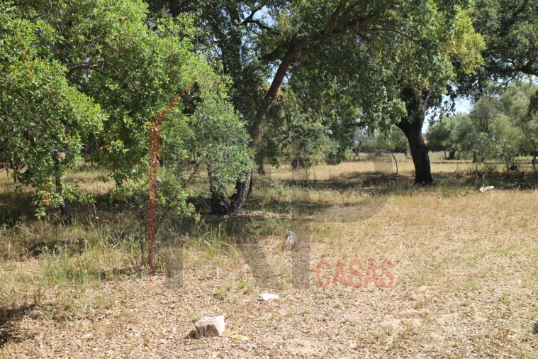 Terreno para Venda em Palmela Foto 16
