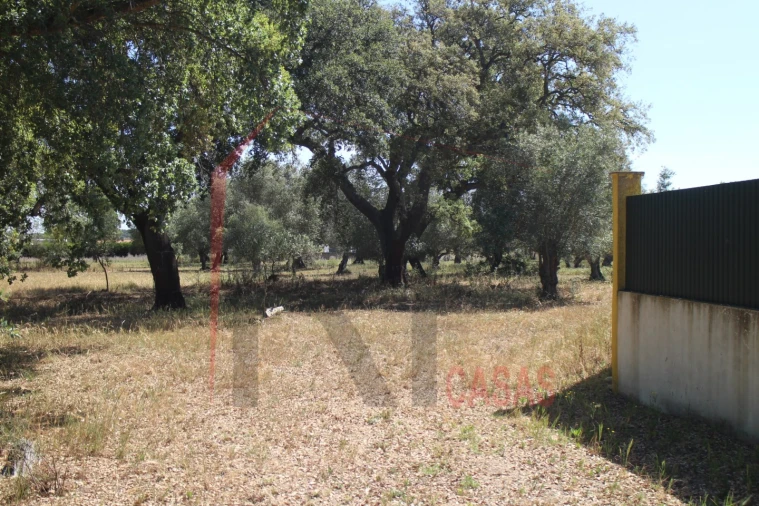 Terreno para Venda em Palmela Foto 18