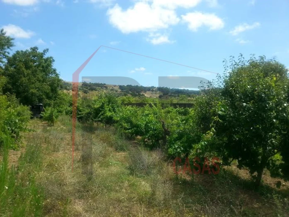 Terreno para Venda em Quinta do Anjo Foto 3