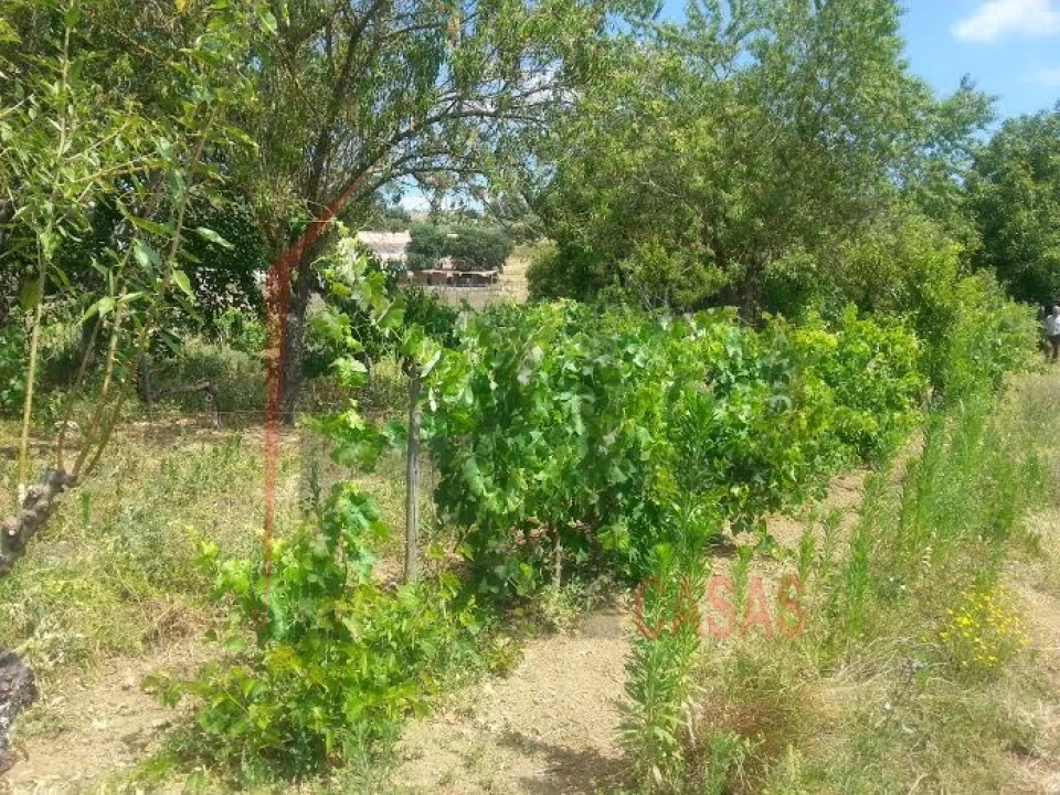 Terreno para Venda em Quinta do Anjo Foto 4