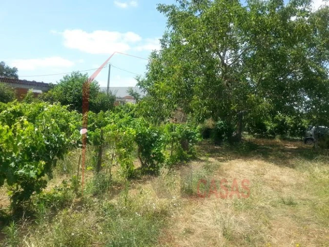 Terreno para Venda em Quinta do Anjo