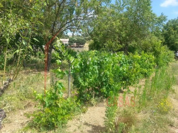 Terreno para Venda em Quinta do Anjo Foto 4