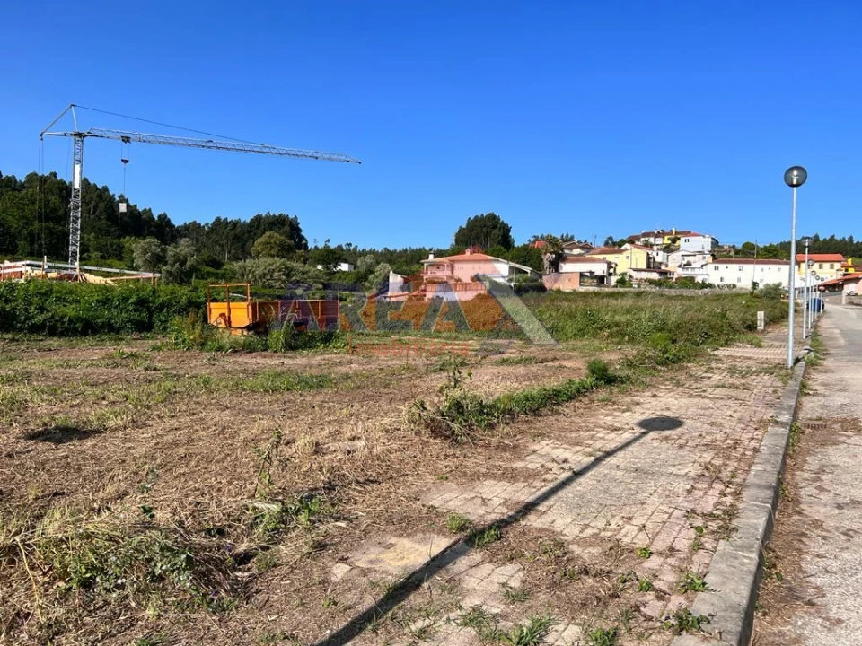 Terreno para Venda em Pinheiro da Bemposta, Travanca e Palmaz Foto 1