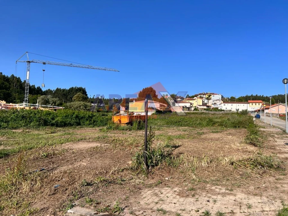 Terreno para Venda em Pinheiro da Bemposta, Travanca e Palmaz Foto 3