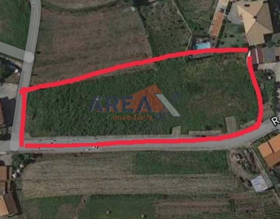 Terreno para Venda em Pinheiro da Bemposta, Travanca e Palmaz Foto 4