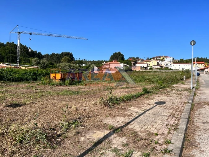 Terreno para Venda em Pinheiro da Bemposta, Travanca e Palmaz Foto 1