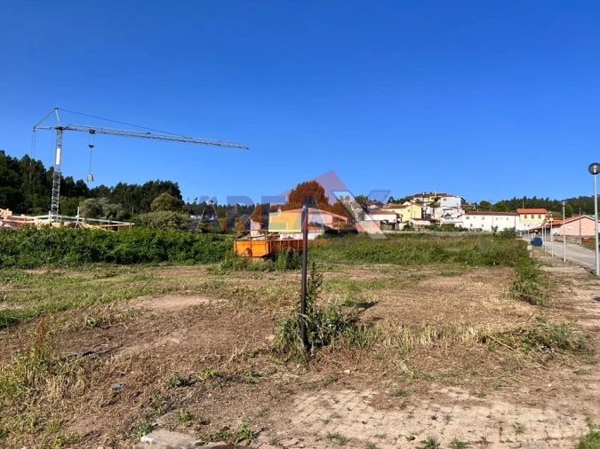 Terreno para Venda em Pinheiro da Bemposta, Travanca e Palmaz Foto 3