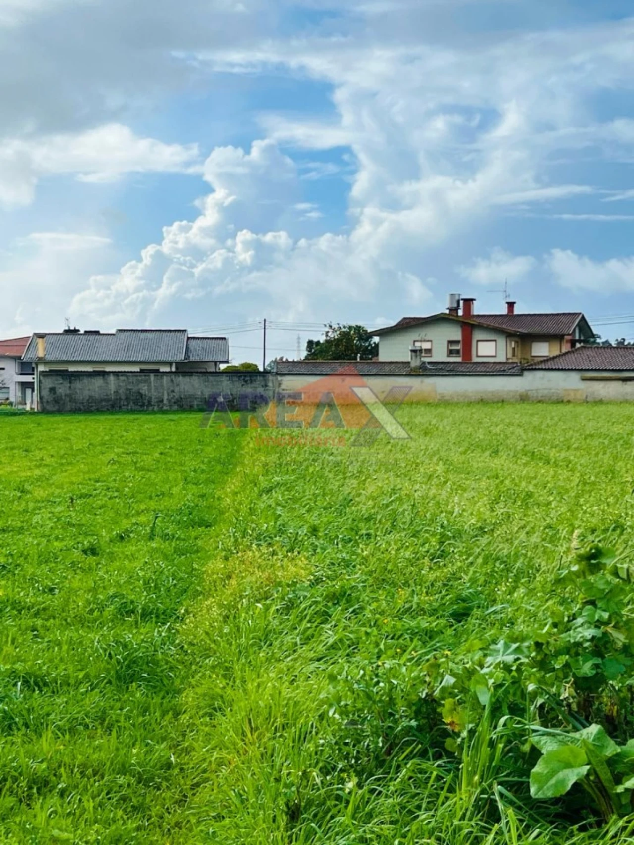 Terreno para Venda em Loureiro Foto 4