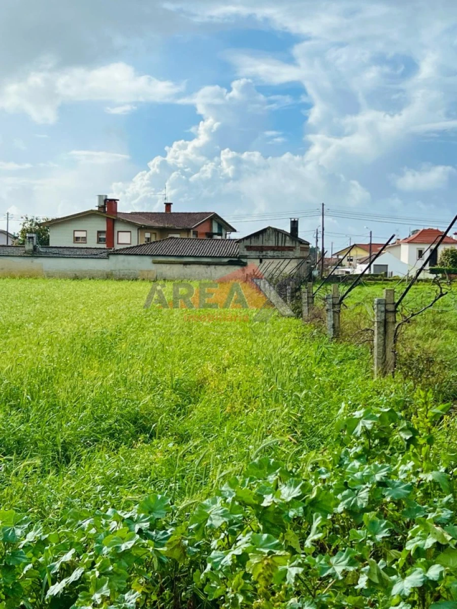 Terreno para Venda em Loureiro Foto 3
