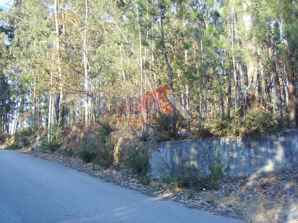 Terreno para Venda em São Roque Foto 2