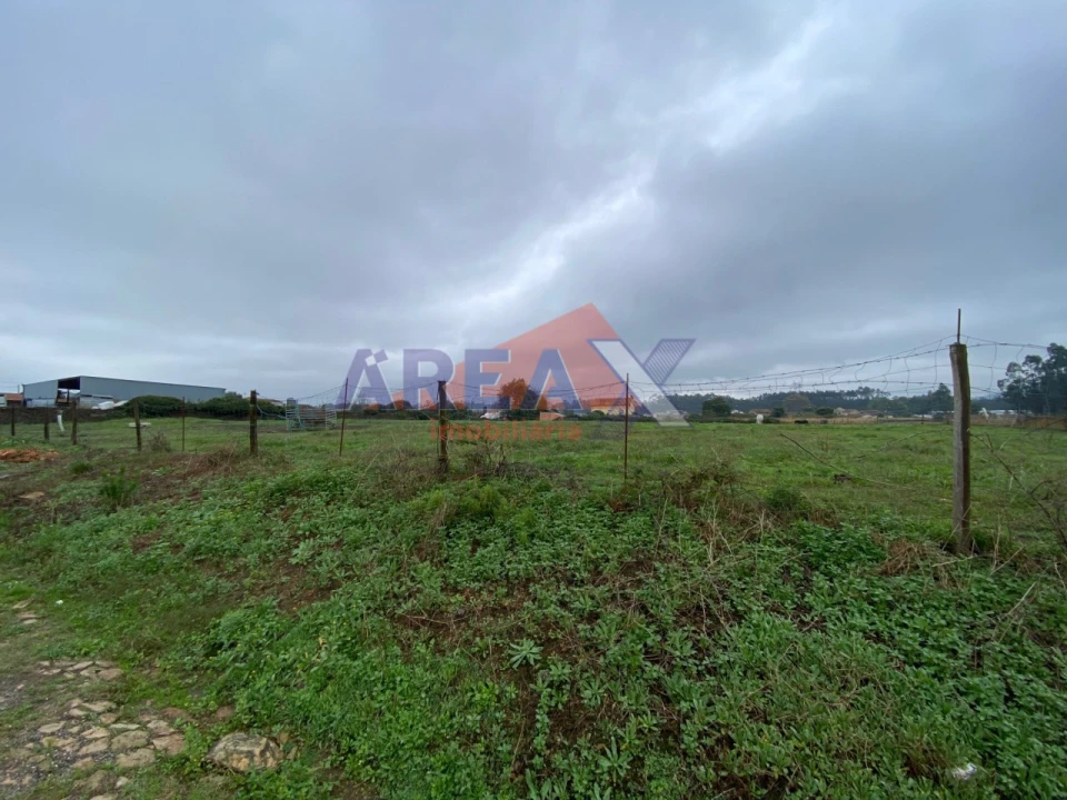 Terreno para Venda em Loureiro Foto 4
