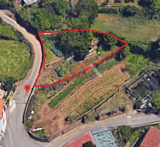 Terreno para Venda em O. Azeméis, Riba-Ul, Ul, Macinhata Seixa, Madail Foto 1