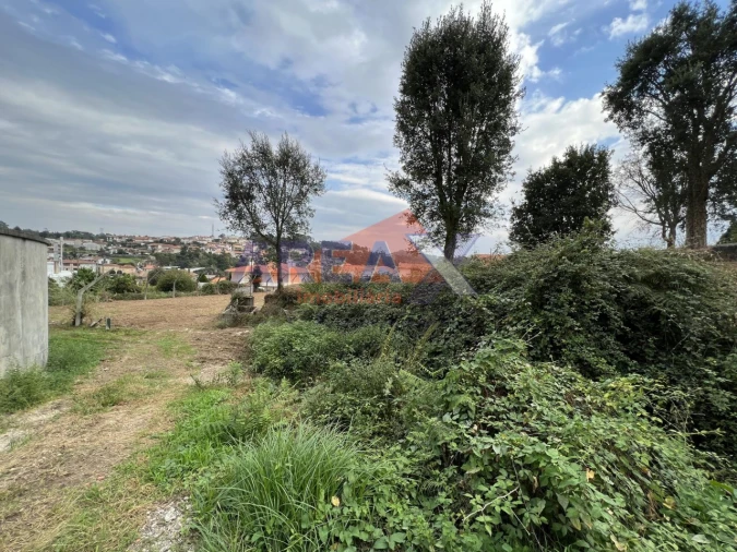Terreno para Venda em Vila de Cucujães Foto 4