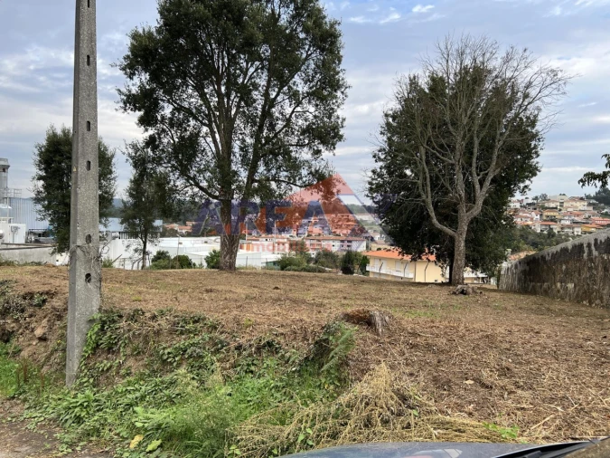 Terreno para Venda em Vila de Cucujães Foto 5