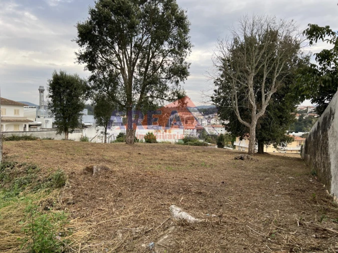 Terreno para Venda em Vila de Cucujães Foto 10