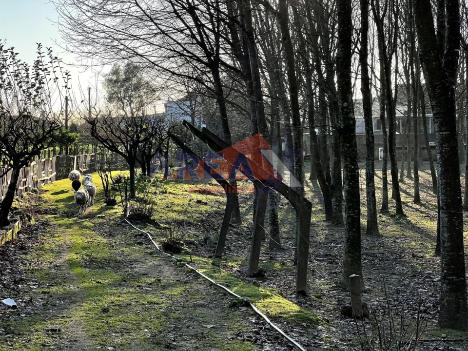 Terreno para Venda em O. Azeméis, Riba-Ul, Ul, Macinhata Seixa, Madail Foto 12