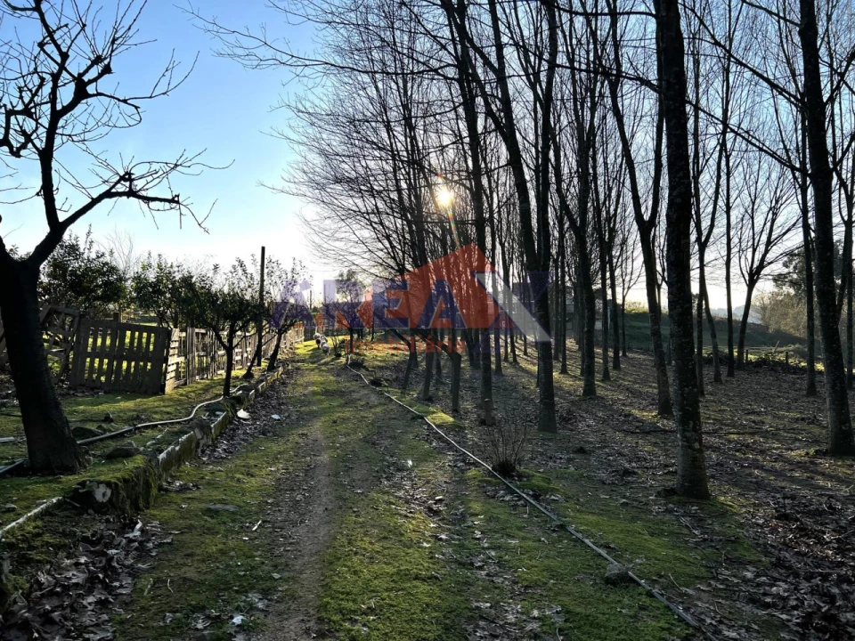 Terreno para Venda em O. Azeméis, Riba-Ul, Ul, Macinhata Seixa, Madail Foto 16