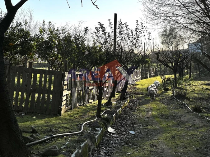 Terreno para Venda em O. Azeméis, Riba-Ul, Ul, Macinhata Seixa, Madail Foto 9