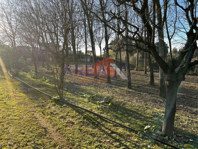 Terreno para Venda em O. Azeméis, Riba-Ul, Ul, Macinhata Seixa, Madail Foto 13