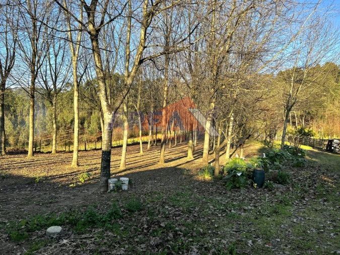 Terreno para Venda em O. Azeméis, Riba-Ul, Ul, Macinhata Seixa, Madail Foto 14