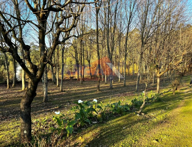 Terreno para Venda em O. Azeméis, Riba-Ul, Ul, Macinhata Seixa, Madail Foto 17