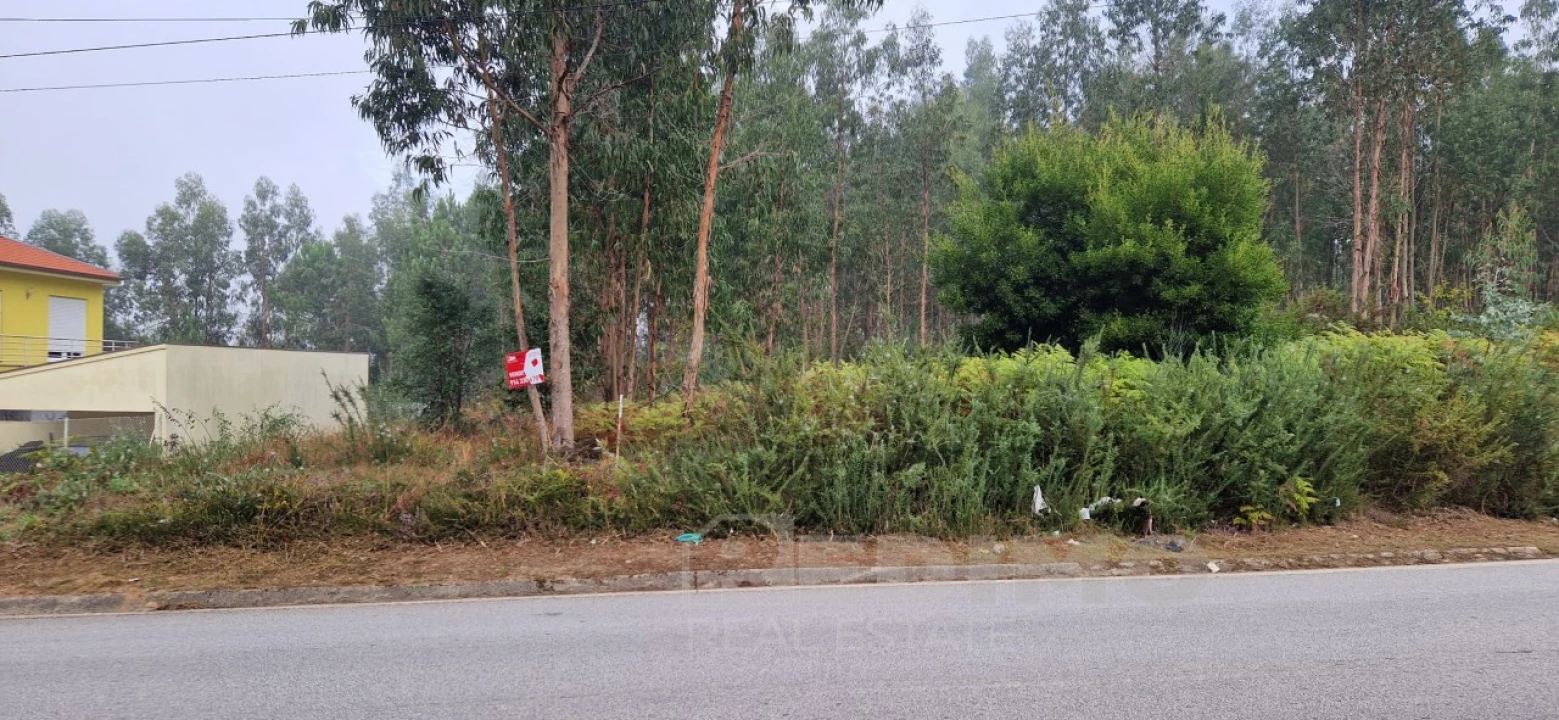 Terreno para Venda em Lobão, Gião, Louredo e Guisande Foto 3