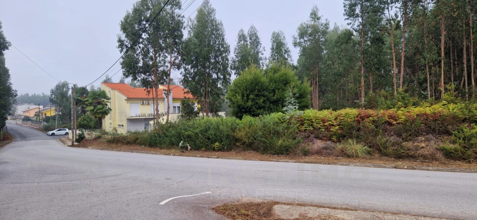 Terreno para Venda em Lobão, Gião, Louredo e Guisande Foto 5