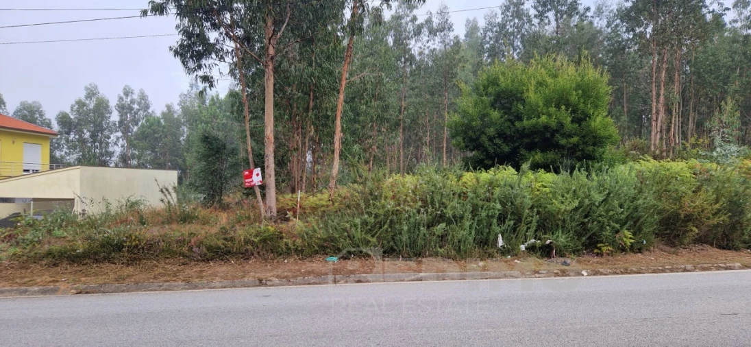 Terreno para Venda em Lobão, Gião, Louredo e Guisande Foto 3