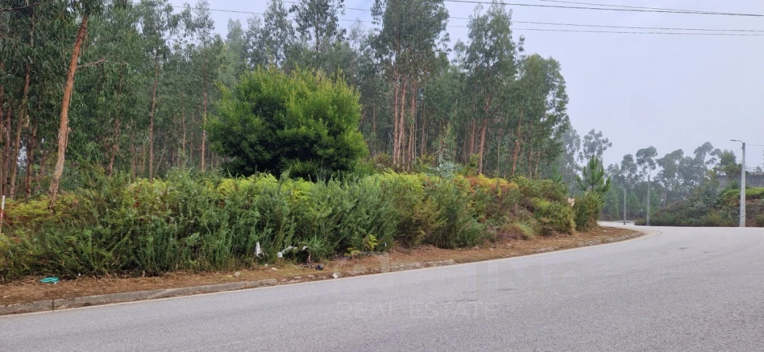 Terreno para Venda em Lobão, Gião, Louredo e Guisande Foto 4