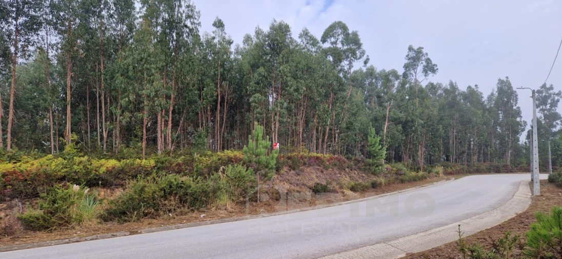 Terreno para Venda em Lobão, Gião, Louredo e Guisande Foto 6