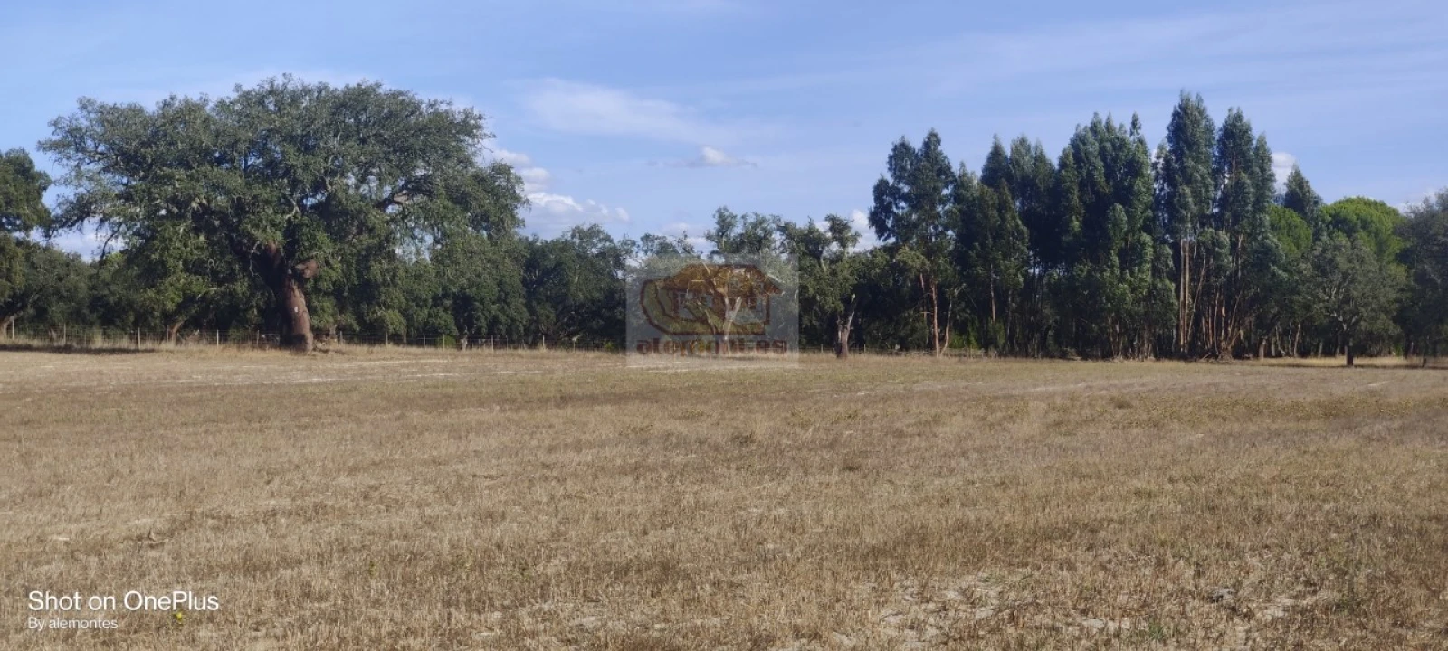 Terreno para Venda em Grândola e Santa Margarida da Serra Foto 6
