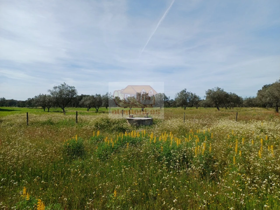 Terreno para Venda em Grândola e Santa Margarida da Serra Foto 2