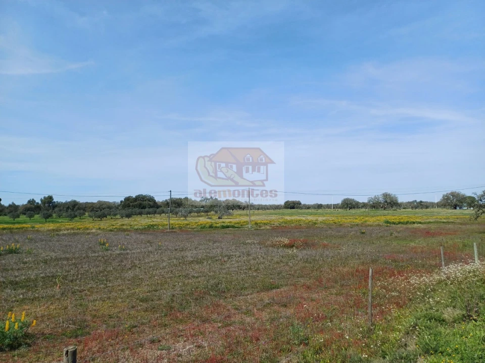Terreno para Venda em Grândola e Santa Margarida da Serra Foto 4