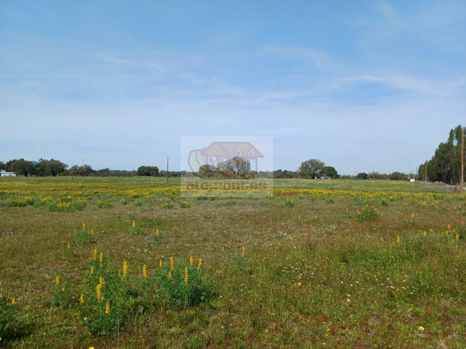 Terreno para Venda em Grândola e Santa Margarida da Serra Foto 7